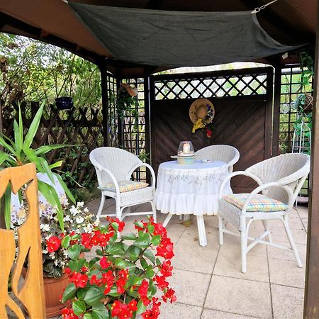 Appartement Ahlbeck, Ferienobjekt Apfel-Blume-Veilchen à Heringsdorf  Extérieur photo